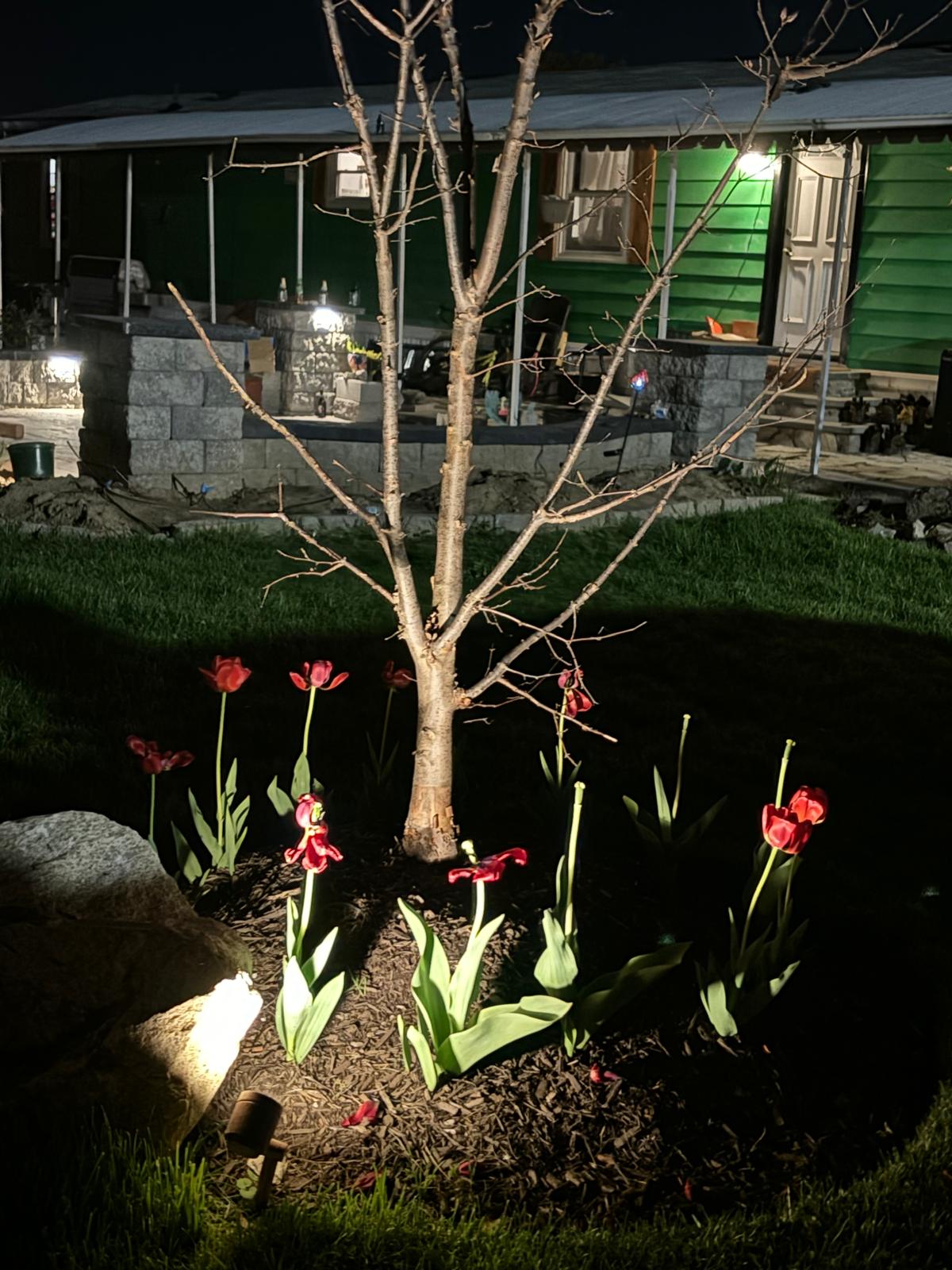 Garden lighting flower bed