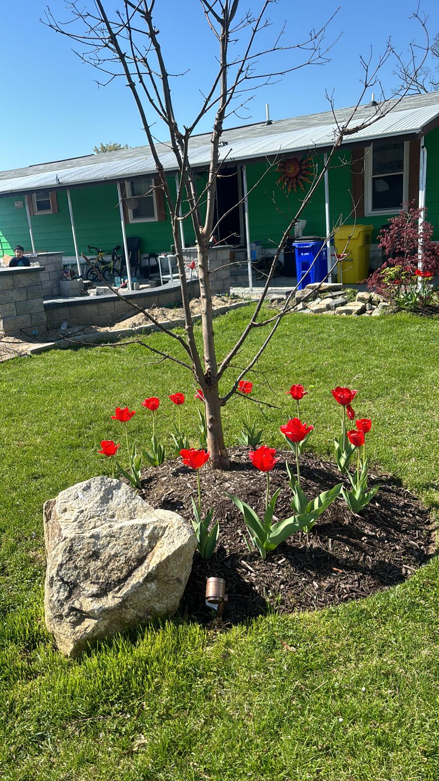 Garden bed with flowers and lighting